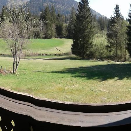 Fewo Reinhard Apartment Faistenau Bagian luar foto