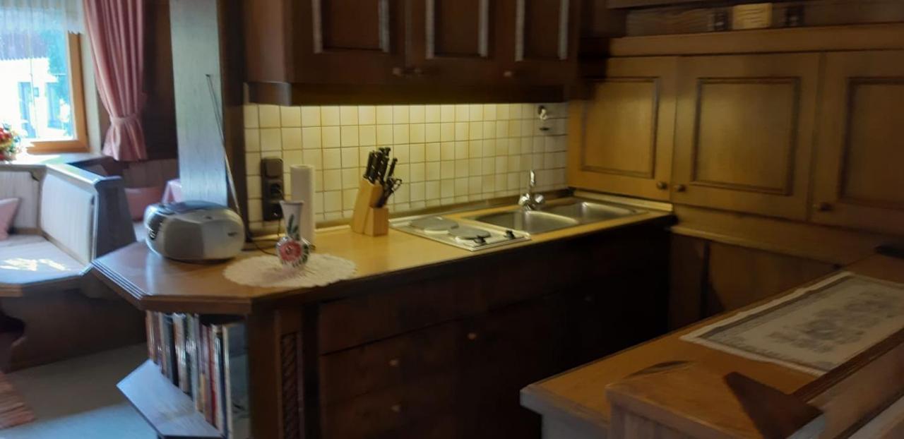 Fewo Reinhard Apartment Faistenau Bagian luar foto